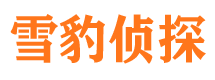 建湖市私家侦探